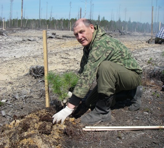 ​В Сургутском районе пройдёт Всероссийский День посадки леса