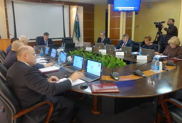 Думские комиссии одобрили корректировку бюджета