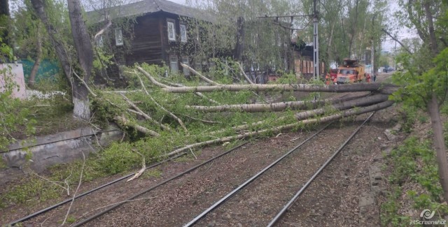 В центре Томска ураган повалил деревья на дороги