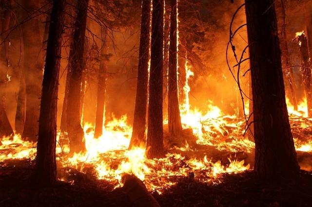 В ХМАО удалось остановить распространение пожаров рядом с городами