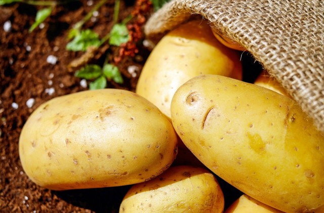 Сургутский район обеспечивает себя картофелем почти на 80% и мясом более чем на 60%