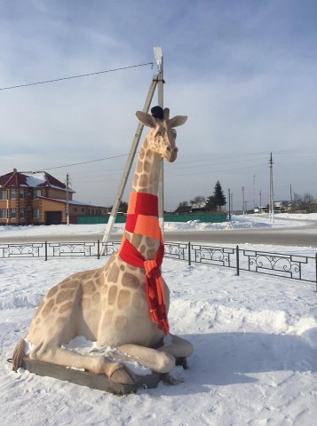 На родине В. Л. Богданова, в селе Суерка, школьники связали шарф жирафу