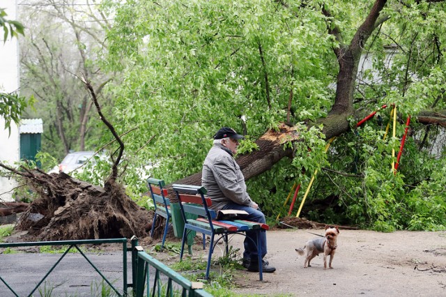 В Москве число пострадавших от урагана достигло 70 человек