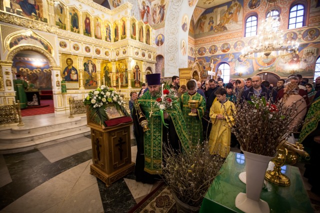 Православные христиане встречают с вербой Царя Иудейского