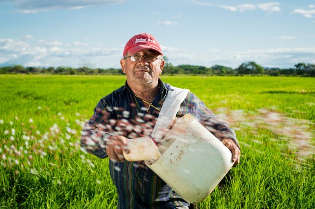 В Югре внедряют онлайн-систему поддержки фермеров