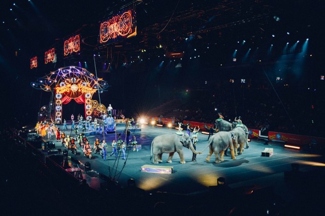 В России могут запретить детям посещать цирк