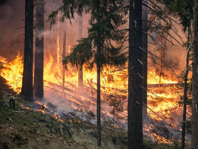 Спасатели тушат в Югре лесные пожары площадью более 440 га