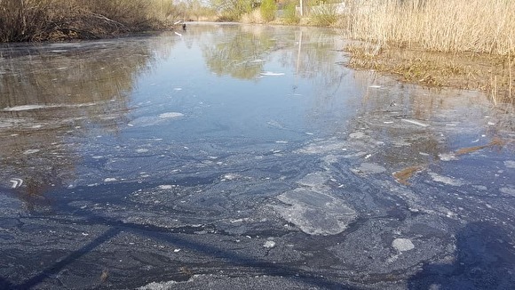 Под Челябинском неизвестные отравили воду в реке