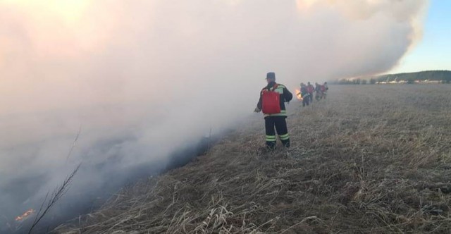 Ханты-Мансийск окутало дымом из-за возгорания травы