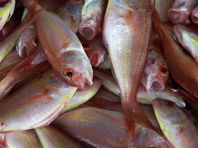 Роспотребнадзор ХМАО снял с реализации 13 партий рыбы и морепродуктов