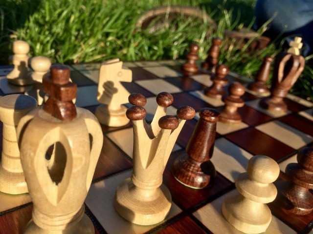 Завтра в Сургуте пройдёт летний шахматный фестиваль "Шахматвиль"