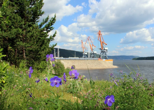 ПАО «Сургутнефтегаз» отметили за политику охраны окружающей среды