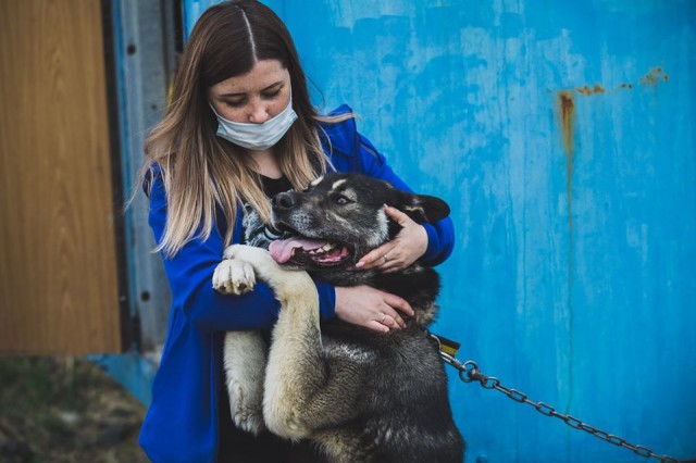 ​Как в Сургутском районе заботятся о кошках и собаках, оказавшихся на улице