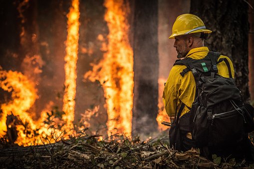 В Югре зафиксировано 14 очагов лесных пожаров