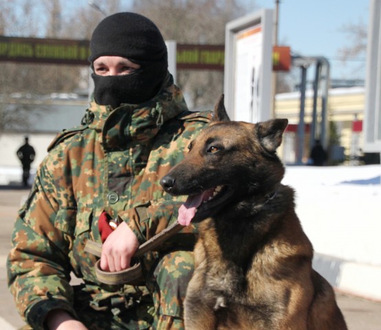 СМИ: силовики с собаками проверяют школы Сургута из-за сообщения о бомбе