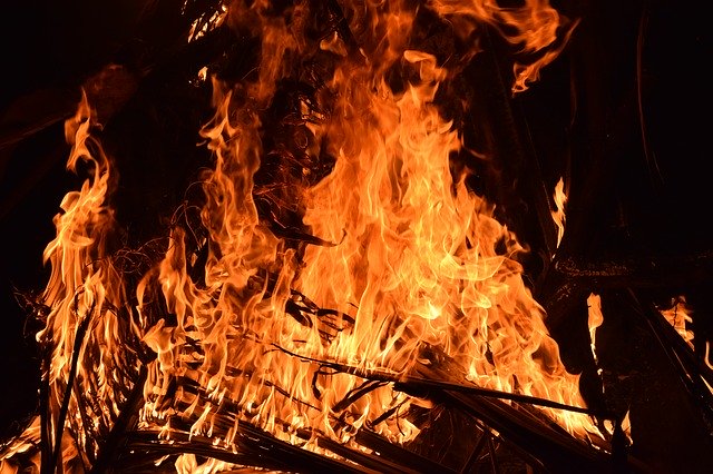 В Тюмени из-за тополиного пуха загорелись 13 гаражей