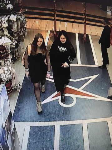 В Сургуте по подозрению в краже ищут двух девушек