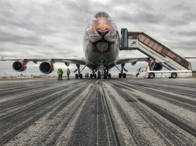 В аэропорту Тюмени впервые приземлился самолёт в дизайне под тигра