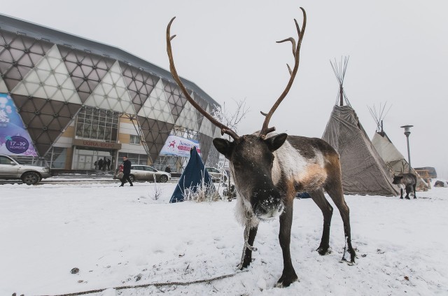 В Ханты-Мансийске пройдёт туристическая выставка