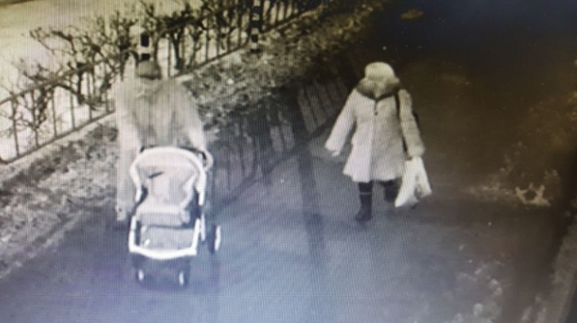 В Саранске разыскивают пару, укравшую детскую коляску