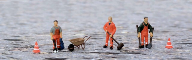 В Сургутском районе начали собирать «подснежники» В Сургутском районе начали собирать «подснежники»