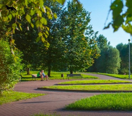 Жители Сургута выбирают парк для благоустройства