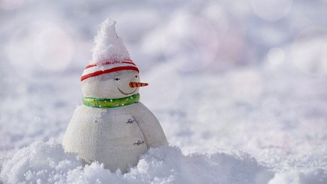 "Я его слепила из того, что было..." В Волгограде нет снега, а снеговики - есть!