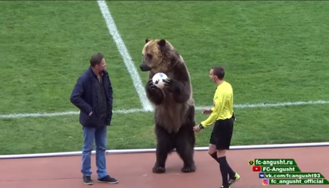 Всё как представляют иностранцы: футбольный матч в России открыл медведь! / ВИДЕО