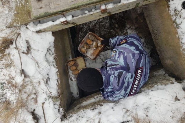 Под Свердловском нашли тайник с боевыми гранатами