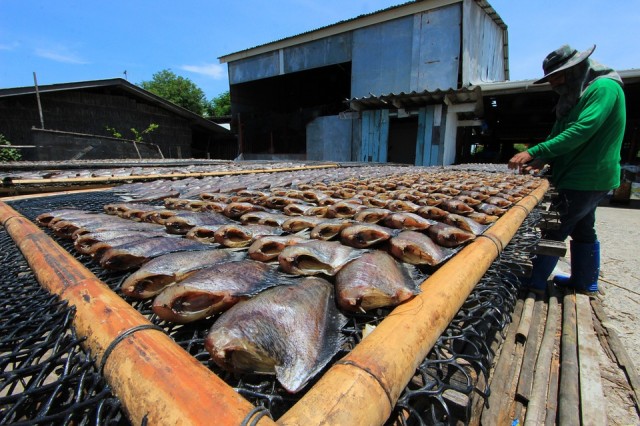 В Югре развивают рыбопереработку
