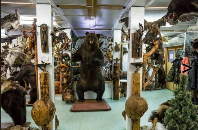 В музее Природы и Человека в Русскинской по случаю юбилея открыли выставку