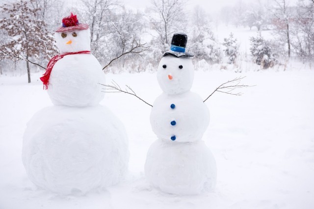 Парад снеговиков в окружной столице