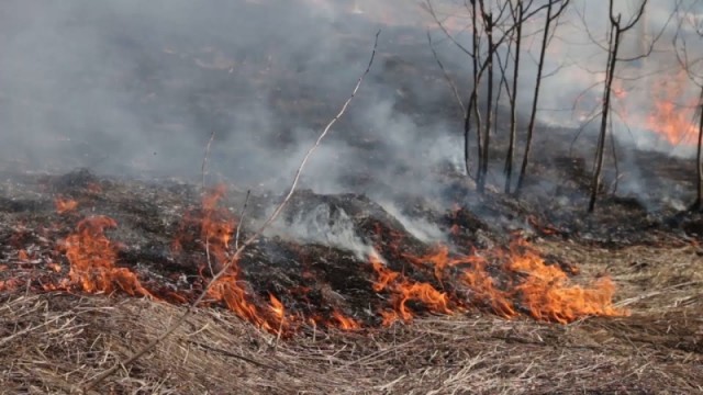 В Югре оштрафован первый поджигатель сухой травы