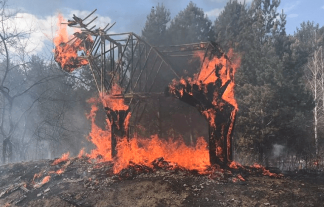 Вандалы в экопарке Тюмени сожгли деревянного лося