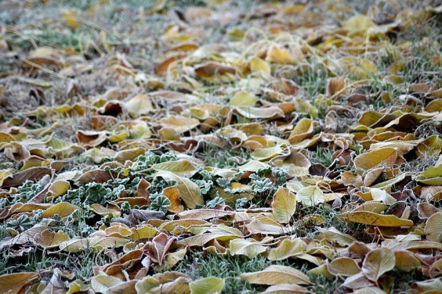 В Омской области пойдёт снег, а затем похолодает до – 14 градусов