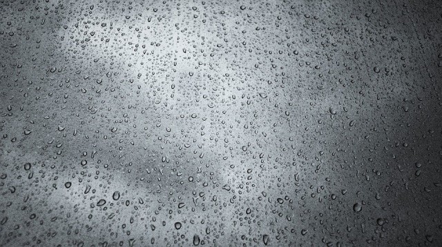В Югре ожидаются дожди с грозами