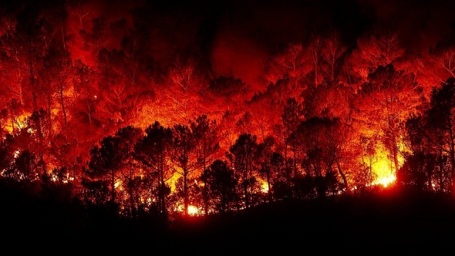 В Югре действуют 9 лесных пожаров