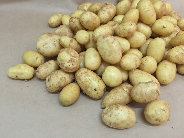 В Брянске молодой картофель продают по 200 рублей за килограмм
