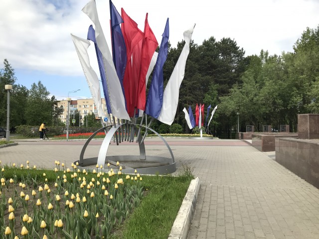 Почти 3 млн рублей направили чиновники Сургута на украшение города флагами