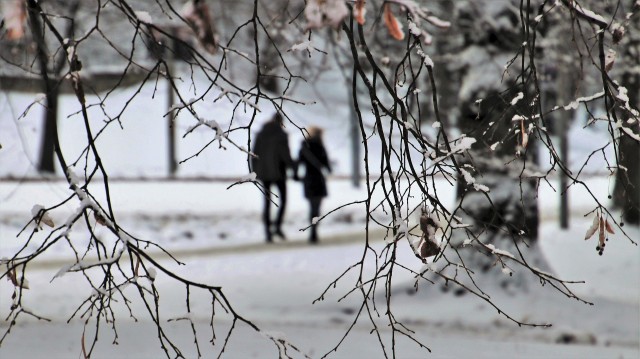 В Кузбасс внезапно придёт тепло и снегопад