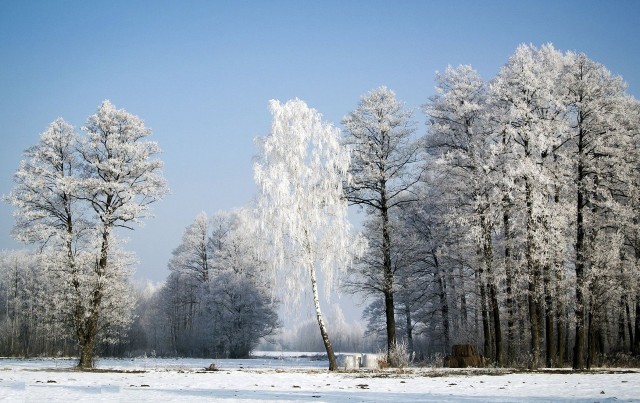 В Мордовии из-за аномальных морозов объявлено оперативное предупреждение