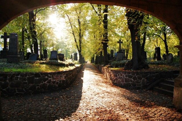 Ростовские власти планируют снизить стоимость погребальных услуг