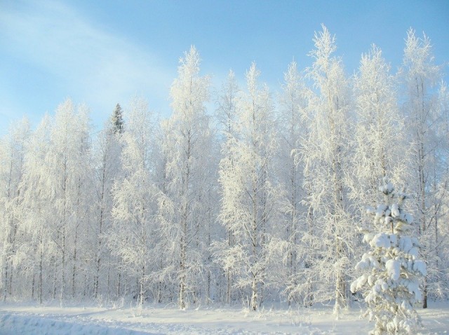 На этой неделе в Сургуте похолодает до - 19ºС