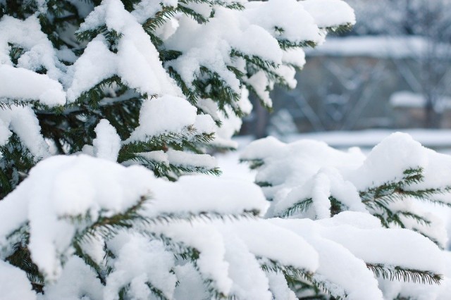 В Сургуте ожидается тёплый февраль и снегопады