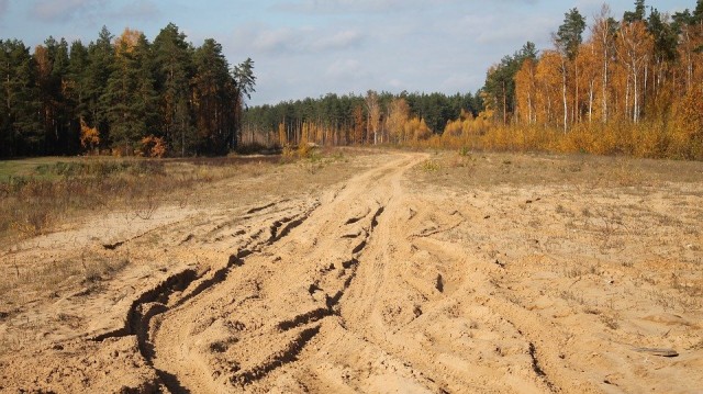 Власти Сургутского района берут на баланс разбитую дорогу к причалу деревни Юган