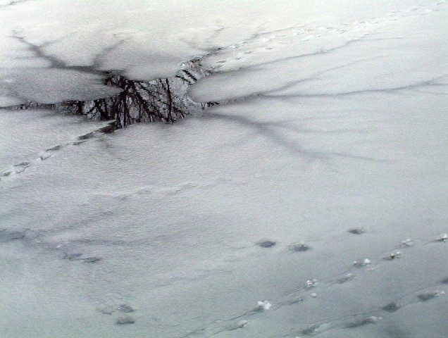 В Югре под лёд ушли два внедорожника