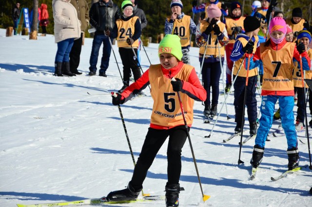 ​В Сургутском районе делают ставку на развитие лыжного спорта