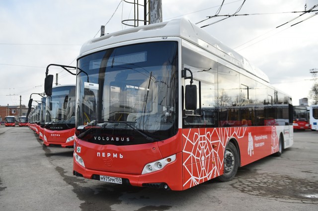 В Перми перевозчики считают незаконными новые автобусные маршруты