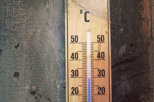 В Липецкой области ожидаются засушливая и жаркая погода до +33 градусов