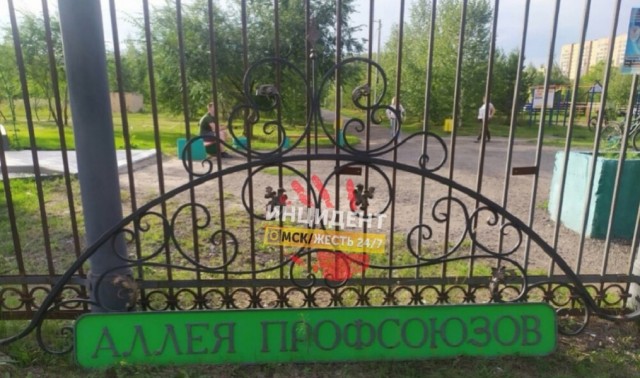 В Омске прохожий стал жертвой упавшей таблички в парке 300-летия
